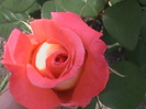 DSC01314