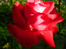 DSCN6001