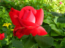 DSCN6002