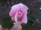 DSC00895