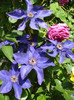 DSC00840