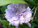 DSC00540
