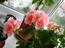 DSC03802