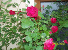 Copy of 100_3219