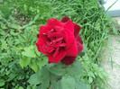 DSC04928