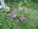 DSC04931