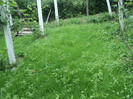DSC04932