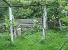 DSC04934
