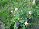 DSC04938