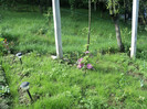 DSC04940