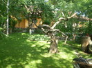 P5210496