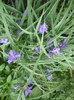 P1110435