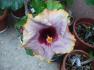 P1130850