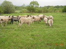 DSCN2663