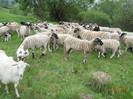 DSCN2674