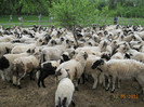 DSCN2678