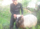 DSCN3440