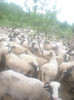 DSCN3522