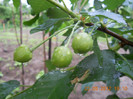 DSCN1064