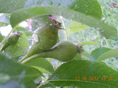 DSCN1072