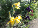 12052012