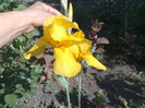 12052012
