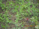 DSCN1047