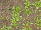 DSCN1068