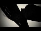 Kickin it Theme Song HD 0006