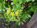 DSCN1066