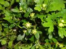 DSCN1070