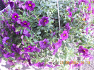 DSCN1032
