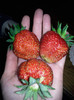 Photo0070
