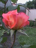 DSC01332