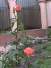 DSC01338