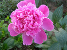 P3297122