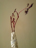 24 mai 2012-flori 005