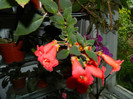 DSCN5283