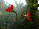 DSCN5311