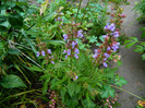 DSCN5318