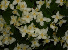 DSCN5328