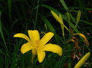 DSCN5332