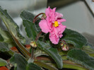 DSCN5407