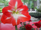 DSCN2654