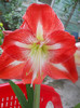 DSCN2652