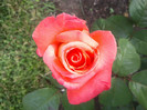 2012-05-23 18.34.20