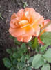 2012-05-23 18.34.43