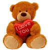 I-love-you-Teddy-Bear-present
