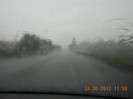 DSCN1081