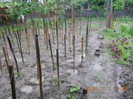 DSCN1087